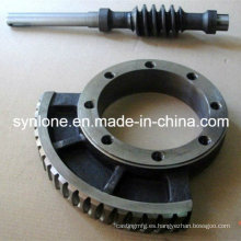 OEM Casting / Forging Steel Worm Gear y eje de gusano